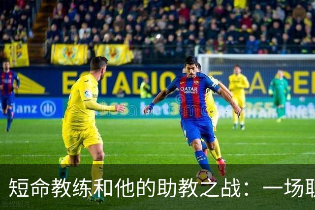 短命教练和他的助教之战：一场职场的“离婚”。